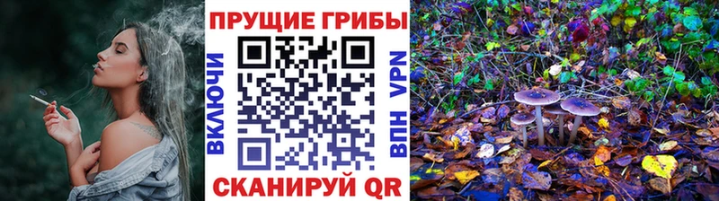 где купить   блэк спрут ССЫЛКА  Галлюциногенные грибы GOLDEN TEACHER  Тутаев 