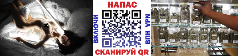 Бошки Шишки MAZAR  Тутаев 